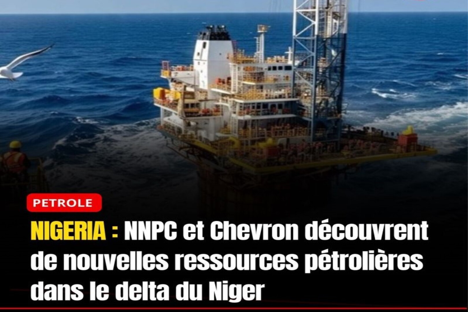 Oil Nigeria: NNPC and Chevron Discover New Petroleum Resources in the Niger Delta