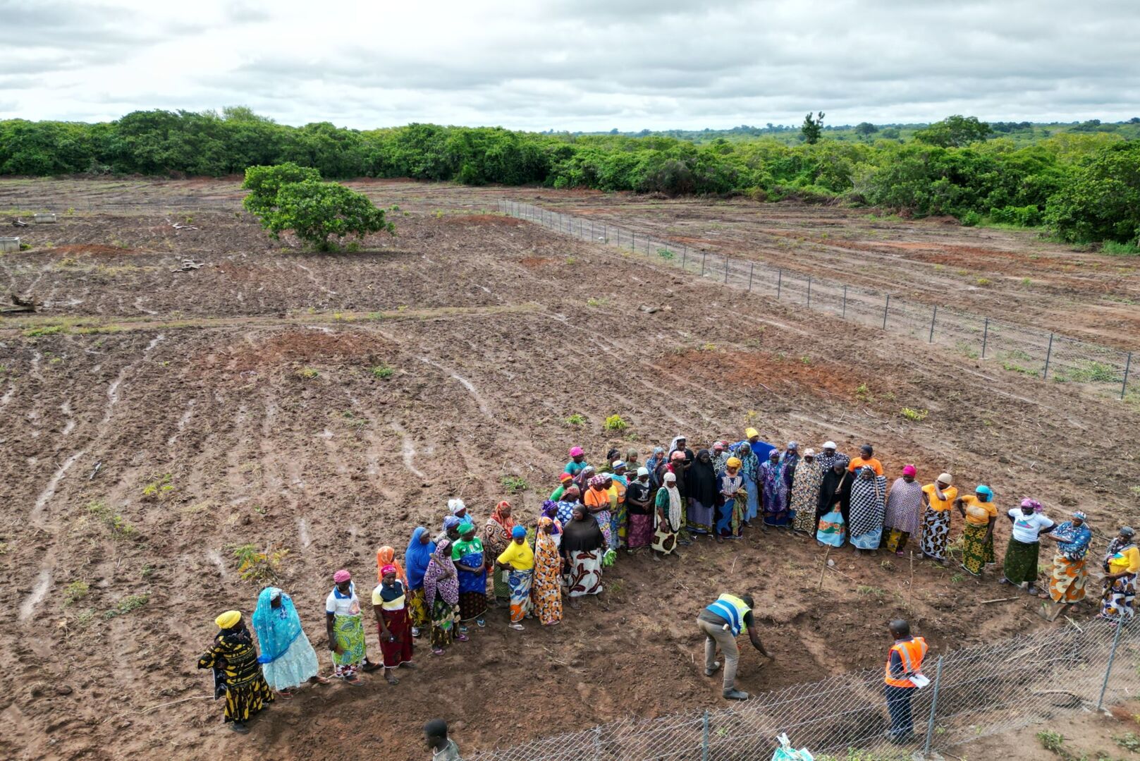 Livelihood Restoration Progress in Côte d’Ivoire under the Koné Project