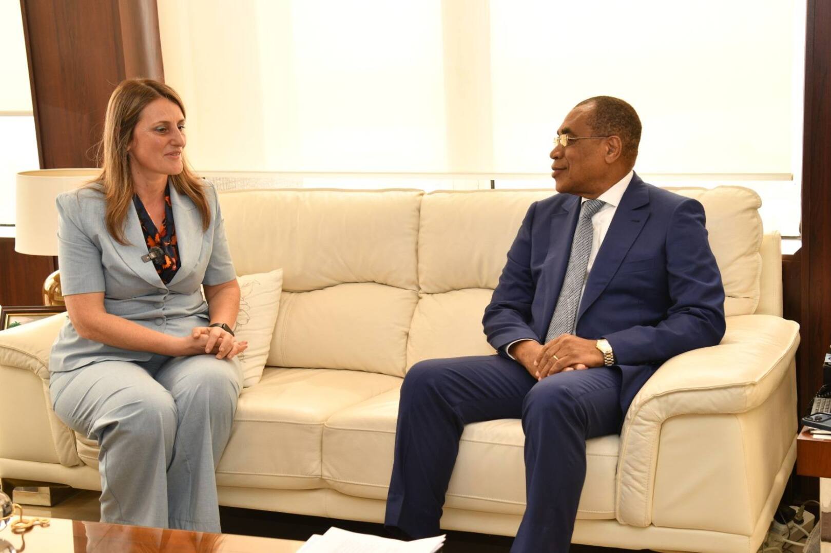 Strategic Partnership for Sustainable Financing