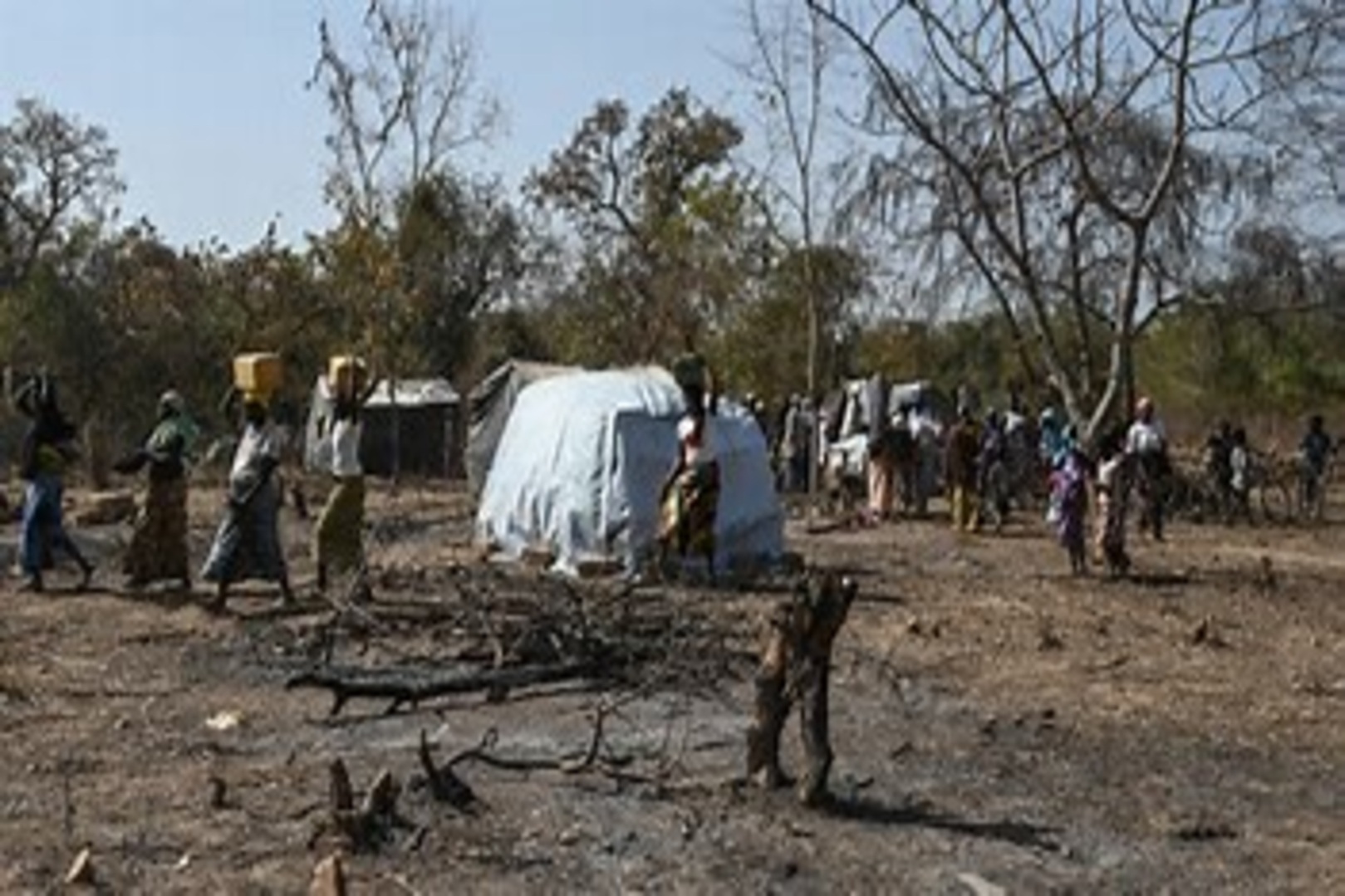 Côte d’Ivoire–Burkina Faso: Six Ivorian Officials Abducted by Burkinabe VDPs, Tensions Rise at the Border