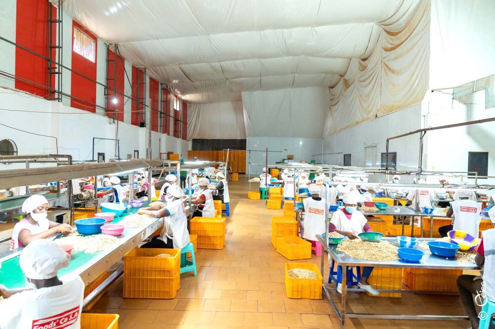 Youth Entrepreneurs in Gbêkê Thrive with Government Support
