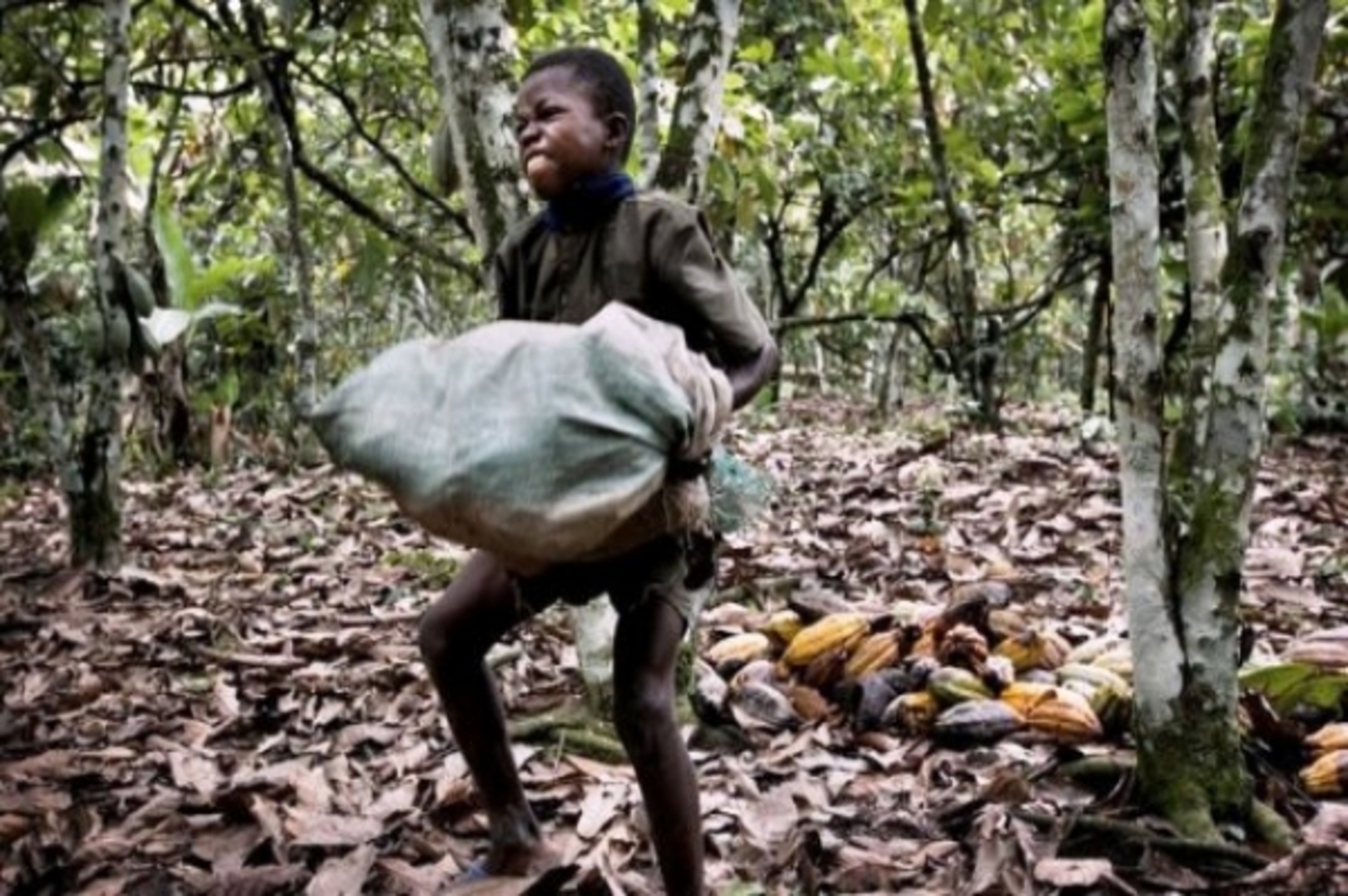 Côte d’Ivoire Hosts Six African Countries to Step Up Fight Against Child Labour